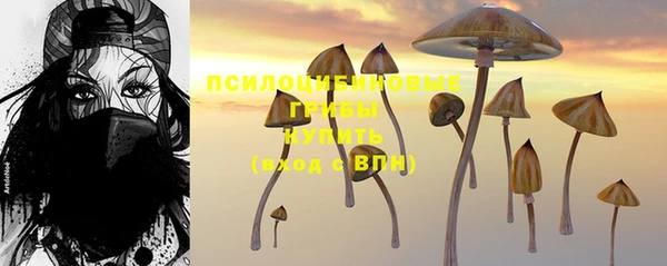 PSILOCYBIN Саяногорск
