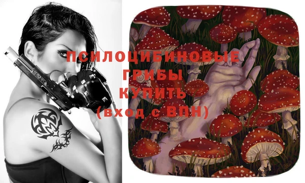 бошки Ростов