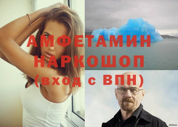 мдпв Рославль