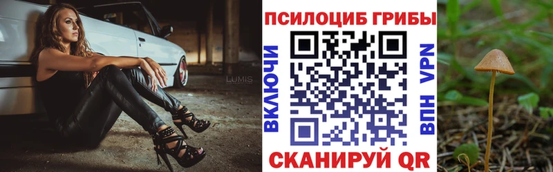 купить наркотик  Советская Гавань  МЕГА сайт  Псилоцибиновые грибы мухоморы 