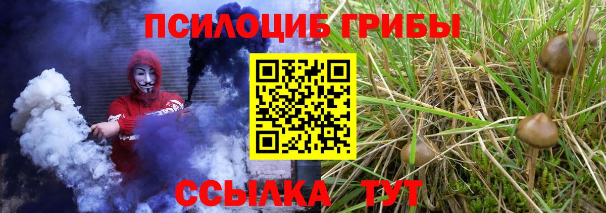 Галлюциногенные грибы Magic Shrooms Советская Гавань